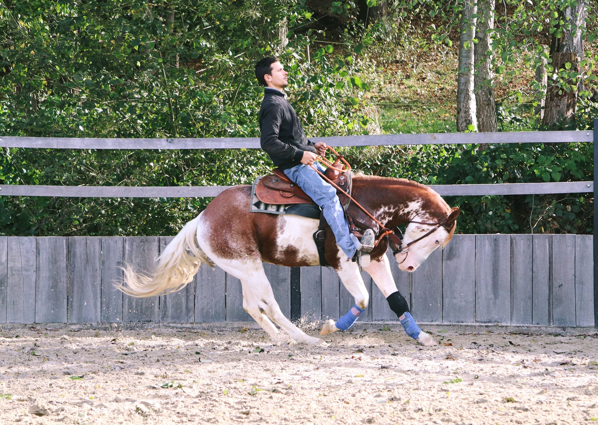 trainings4